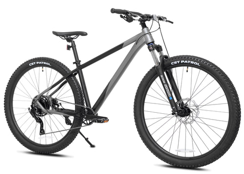Kent Bicycles 29