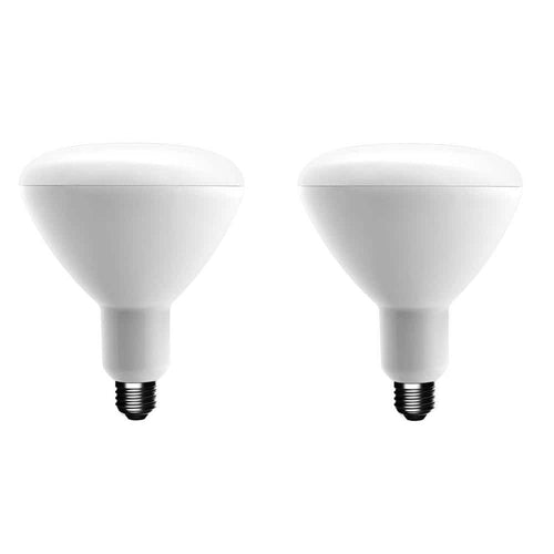 Ecosmart 75-Watt Equivalent BR40 Dimmable Energy Star LED Light Bulb Bright White (2-Pack)